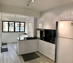 Blk 264 Waterloo Street (Central Area), HDB 3 Rooms #554095091